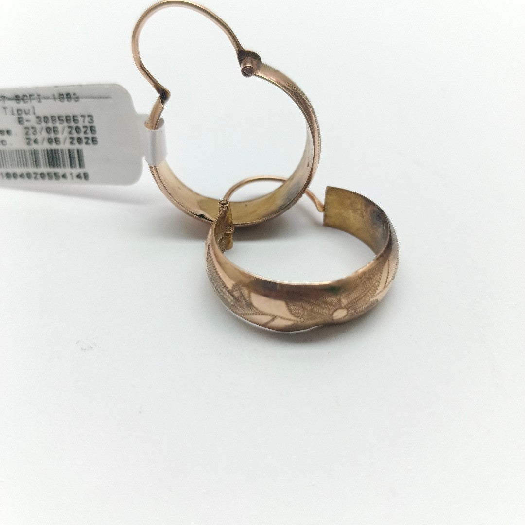 ARRACADAS PAR ORO 10 K 4 GRMS (SEMINUEVO)