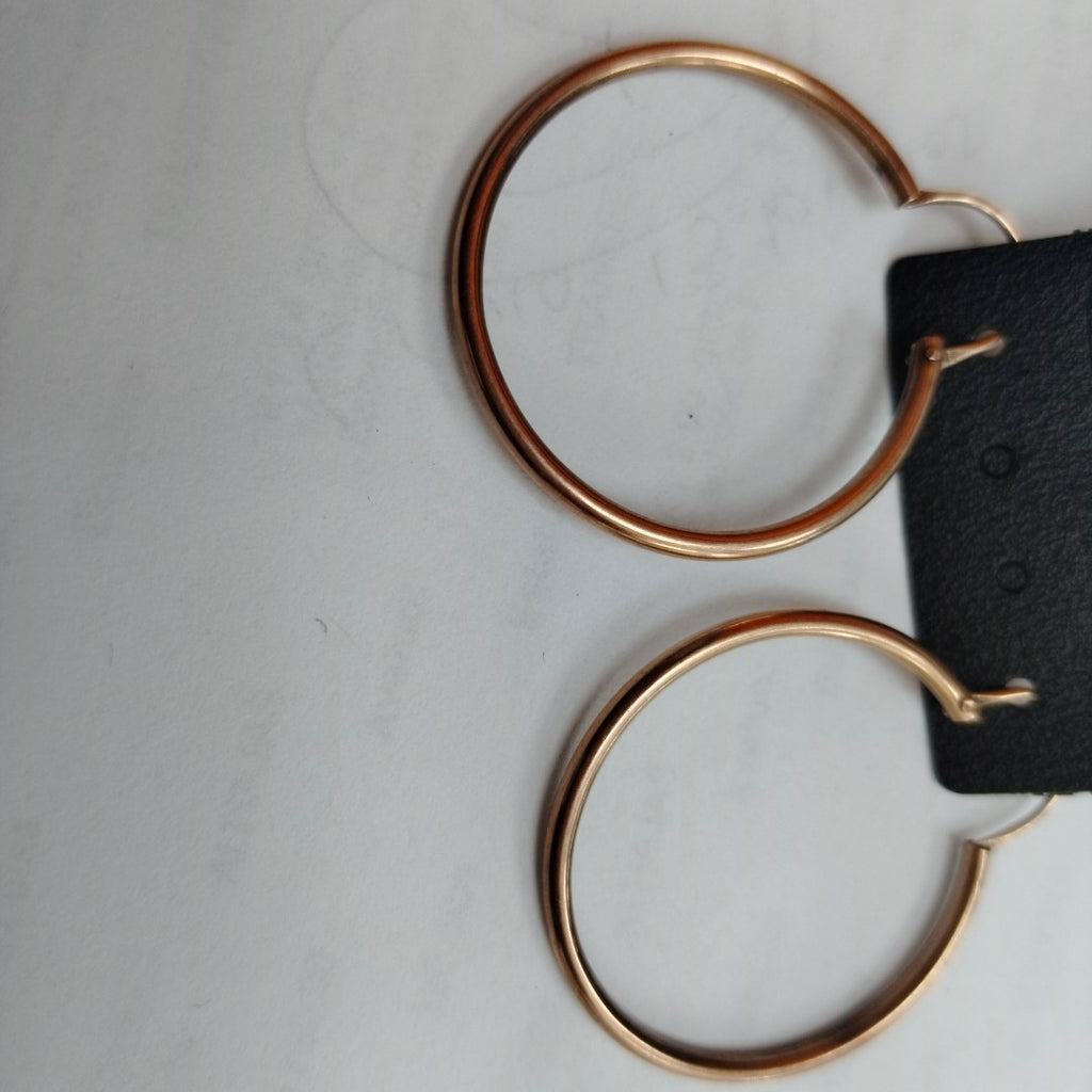 ARRACADAS PAR ORO 10 K 3,40 GRMS (SEMINUEVO)