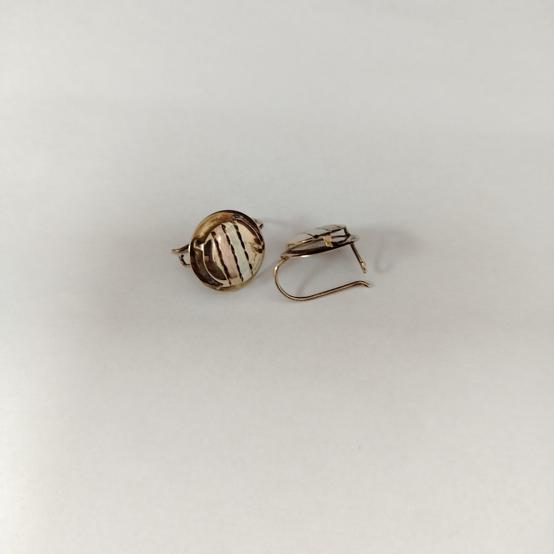 ARETES PAR ORO 10 K 1.6 GRMS (SEMINUEVO)