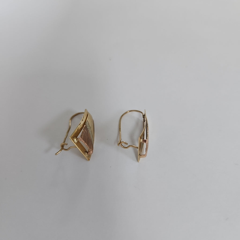 ARETES PAR ORO 10 K 1.6 GRMS (SEMINUEVO)
