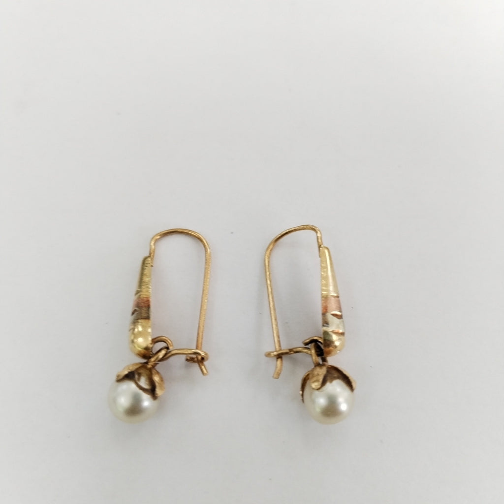 ARETES PAR ORO 10 K 1.3 GRMS (SEMINUEVO)