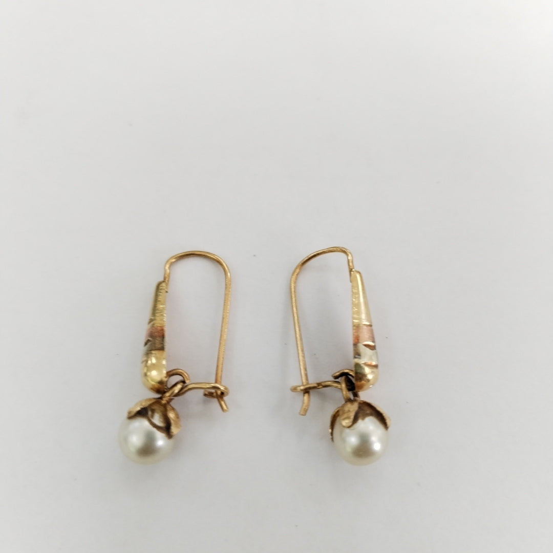 ARETES PAR ORO 10 K 1.3 GRMS (SEMINUEVO)