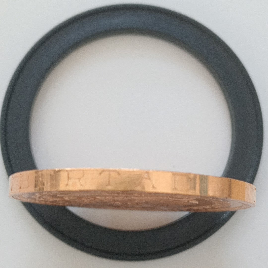 K1 41.6 GRMS 21 K IDENTIFICACIÓN MONEDA NOMINATIVA MATERIALES ORO CAN (SEMINUEVO)