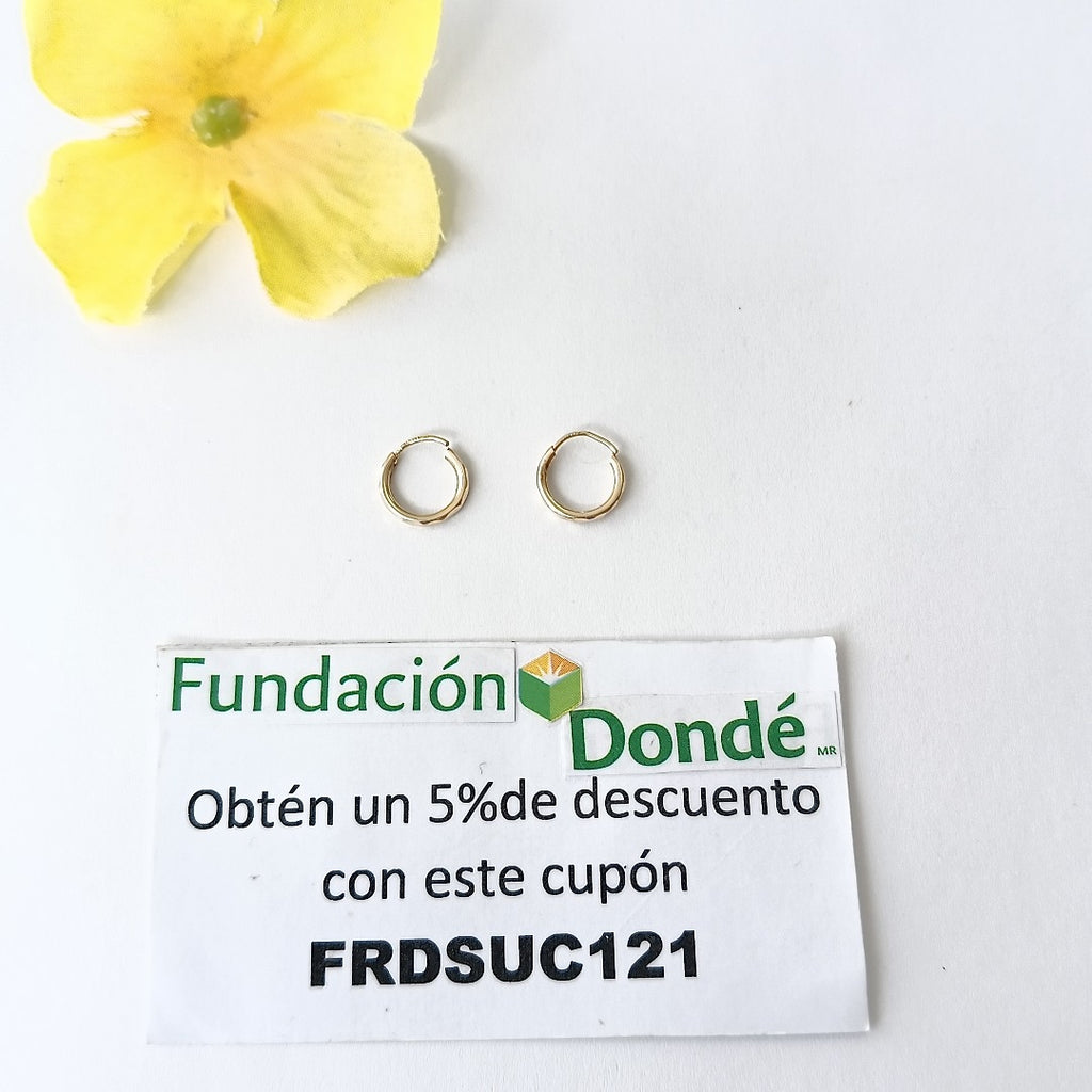 ARRACADAS PAR ORO 10 K 0.5 GRMS (SEMINUEVO)