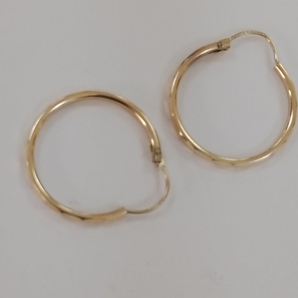 ARRACADAS PAR ORO 10 K 1,30 GRMS (SEMINUEVO)