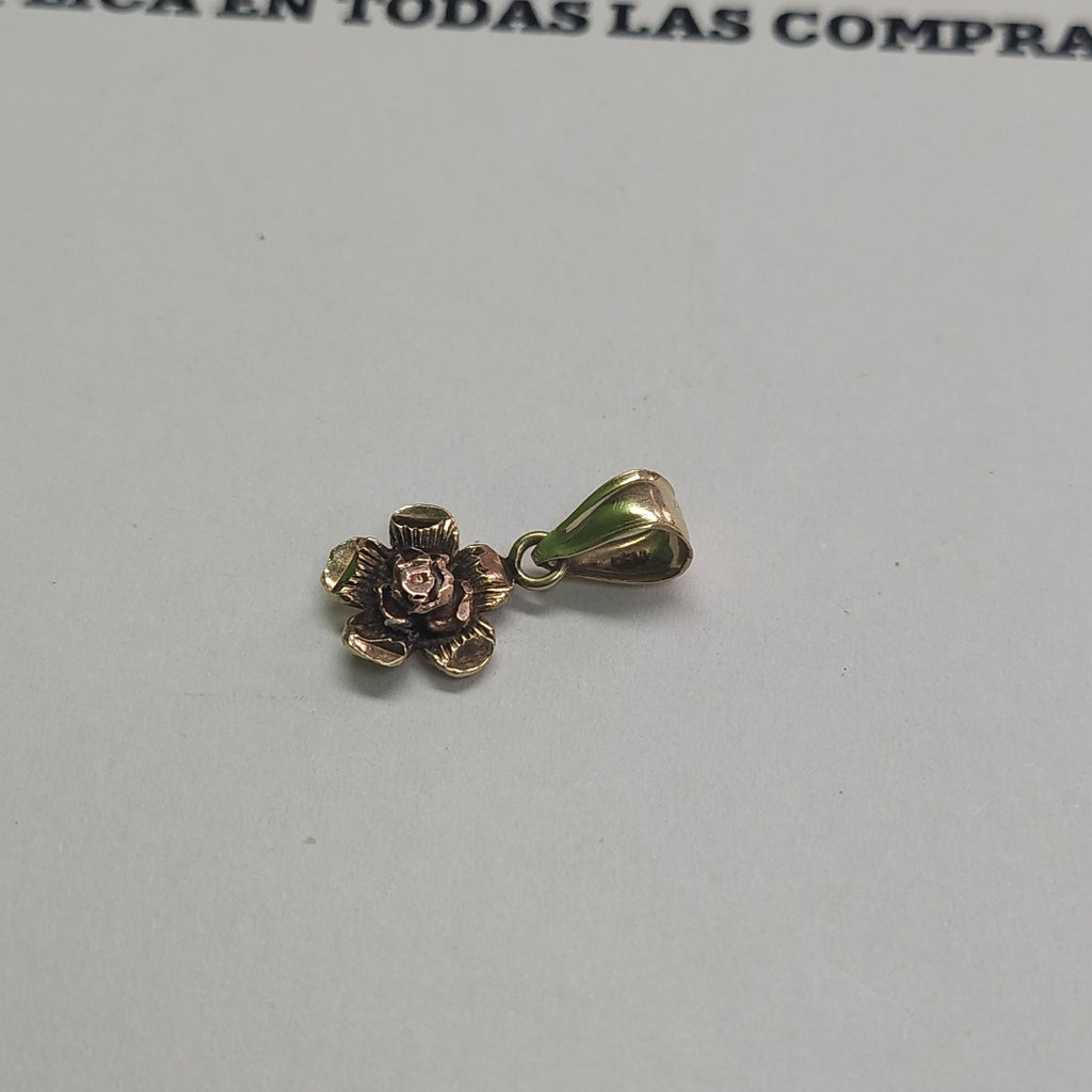 DIJE ORO 10 K 1 GRMS (SEMINUEVO)