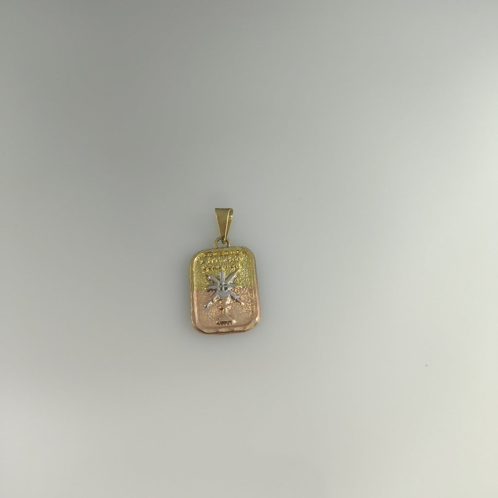 MEDALLA CONMEMORATIVA ORO COMBINADO 10 K 0.2 GRMS (SEMINUEVO)
