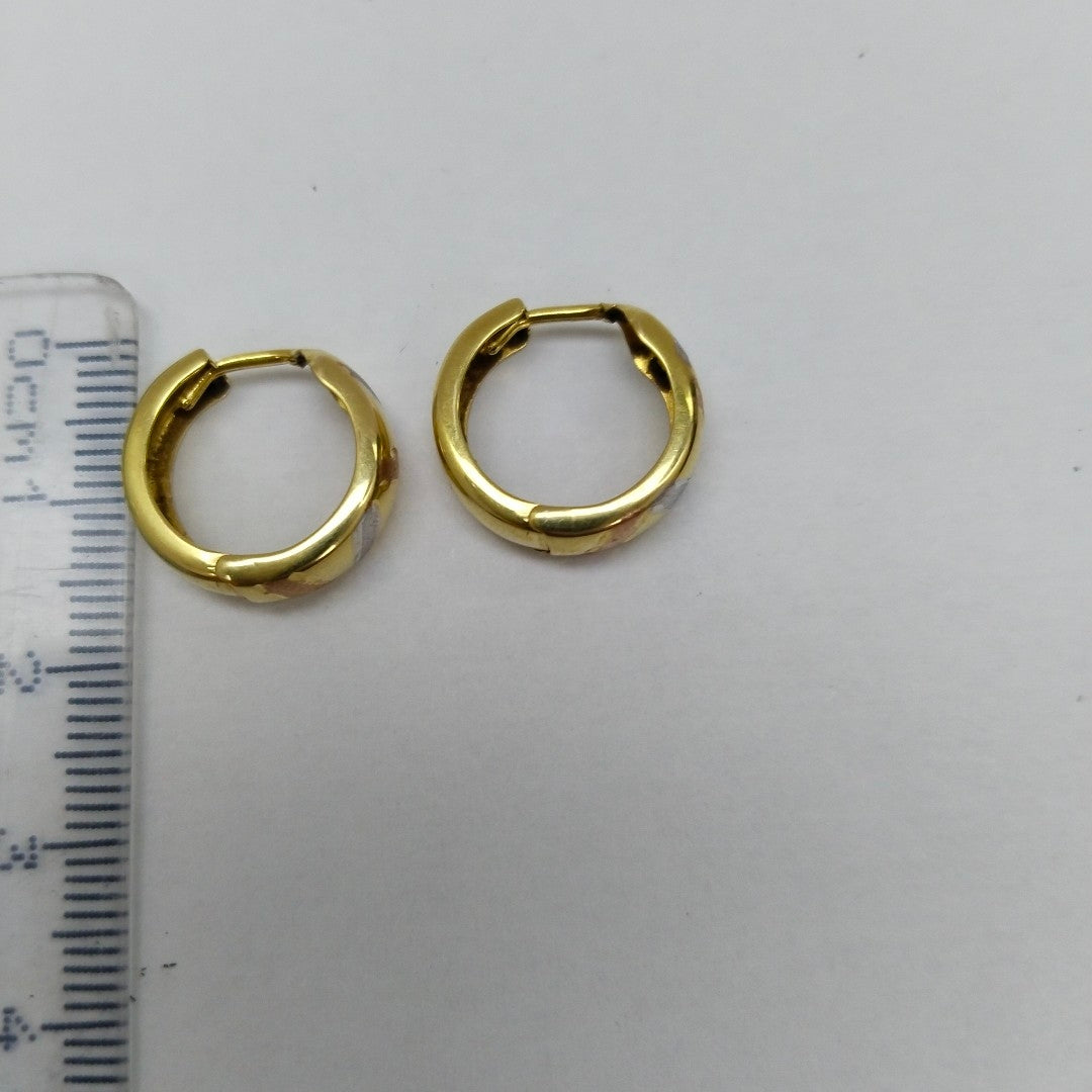 ARRACADAS PAR ORO 10 K 1,70 GRMS (SEMINUEVO)