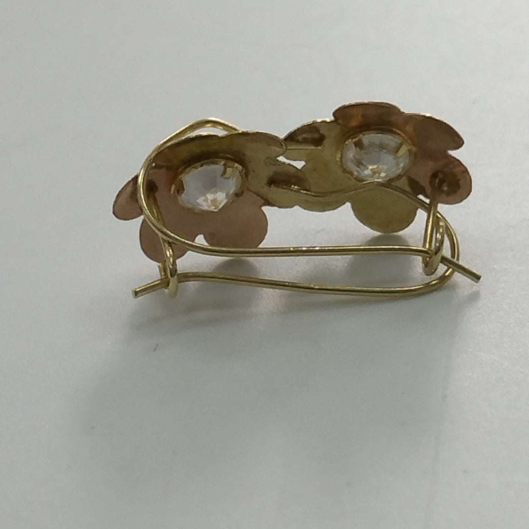 ARETES PAR ORO 10 K 1,00 GRMS (SEMINUEVO)