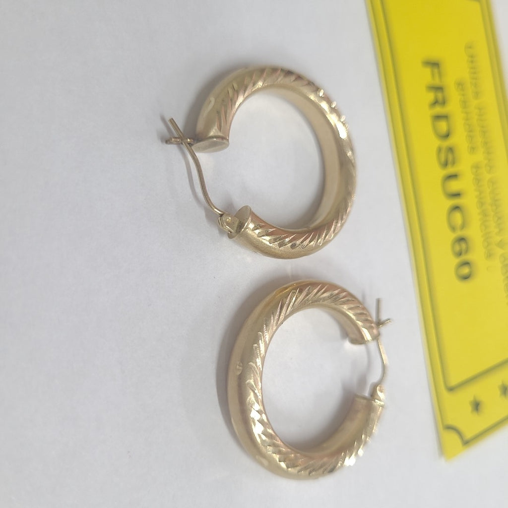ARRACADAS PAR ORO 10 K 3,50 GRMS (SEMINUEVO)