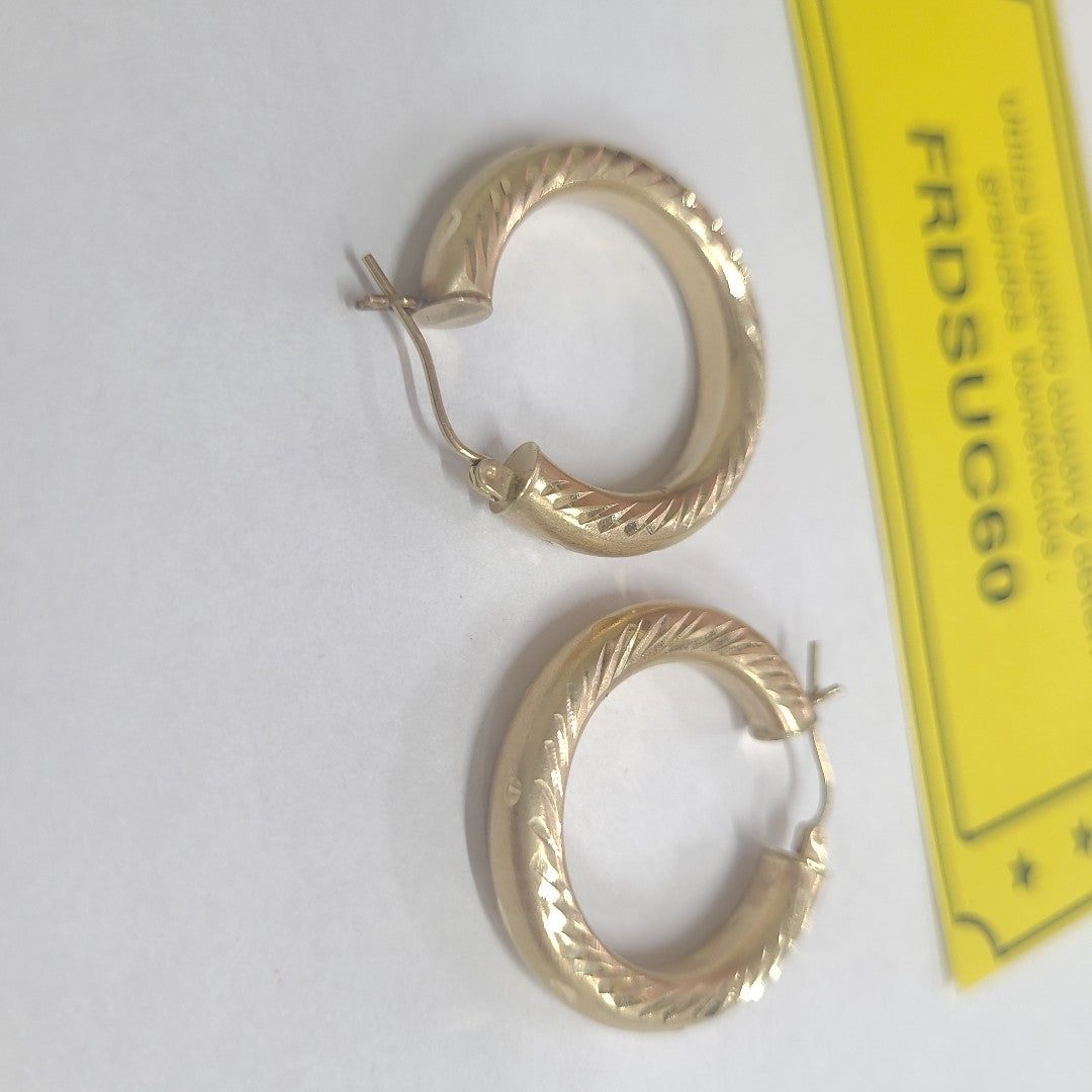ARRACADAS PAR ORO 10 K 3,50 GRMS (SEMINUEVO)