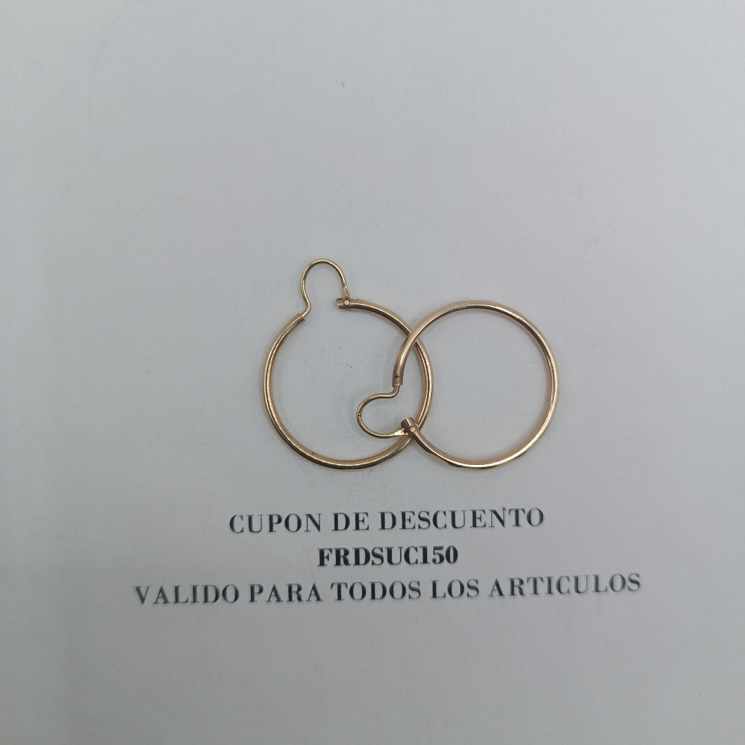 ARRACADAS PAR ORO 10 K 2 GRMS (SEMINUEVO)
