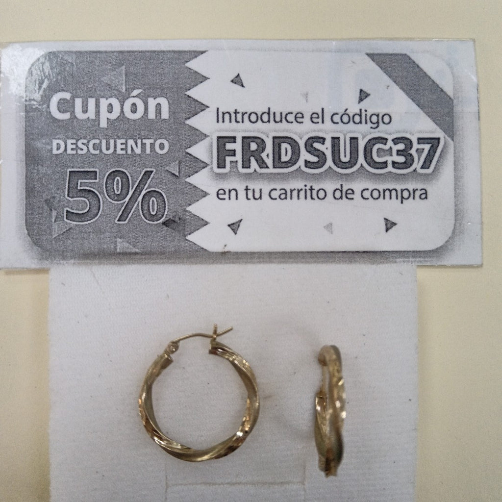 ARRACADAS PAR ORO 10 K 2.1 GRMS (SEMINUEVO)
