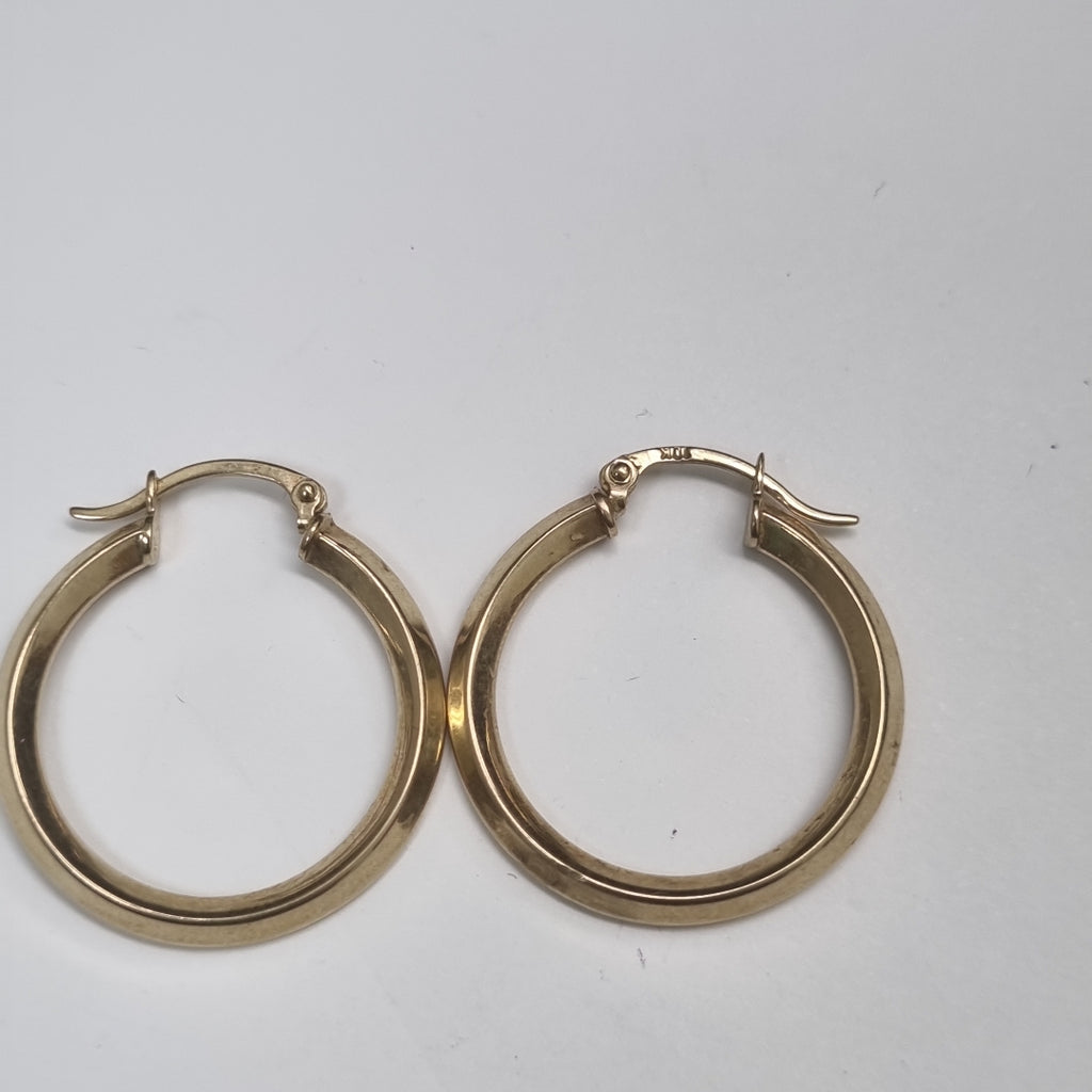 ARRACADAS PAR ORO 10 K 3.1 GRMS (SEMINUEVO)