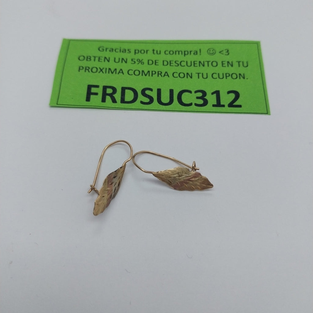 ARETES PAR ORO 10 K 0.8 GRMS (SEMINUEVO)
