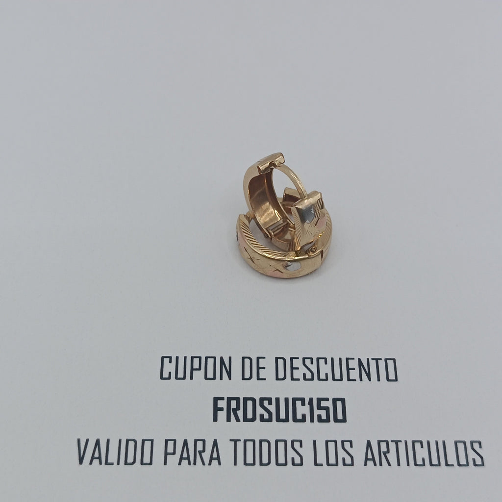 ARETES PAR ORO 10 K 1.8 GRMS (SEMINUEVO)
