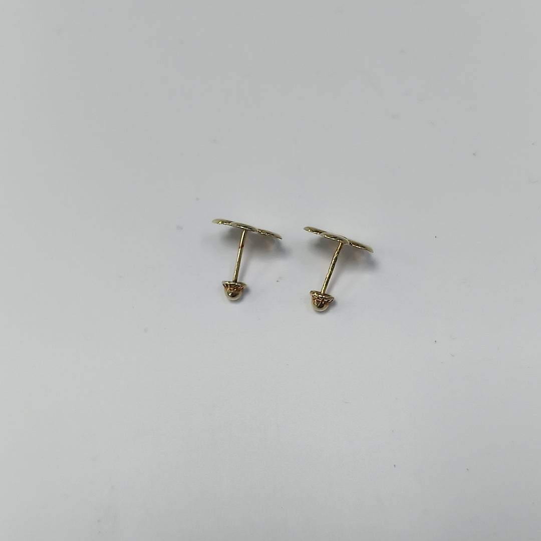 BROQUELES PAR ORO 10 K 0.3 GRMS (SEMINUEVO)