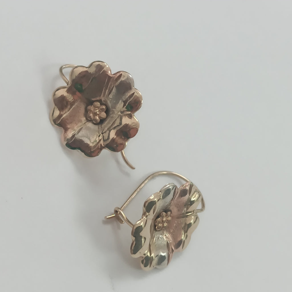 ARETES PAR ORO 10 K 1.2 GRMS (SEMINUEVO)