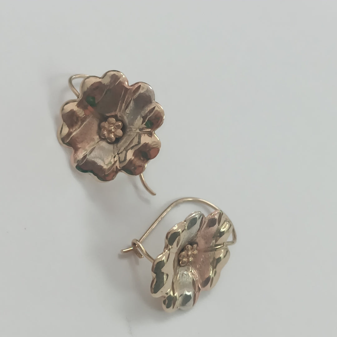 ARETES PAR ORO 10 K 1.2 GRMS (SEMINUEVO)
