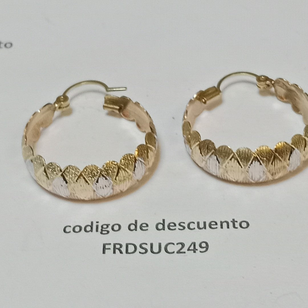 ARRACADAS PAR ORO 10 K 3.6 GRMS (SEMINUEVO)