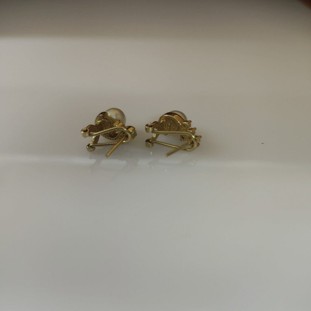 ARETES PAR ORO 14 K 3.5 GRMS (SEMINUEVO)