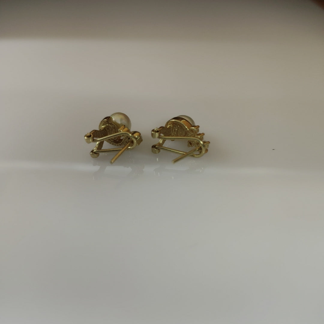 ARETES PAR ORO 14 K 3.5 GRMS (SEMINUEVO)