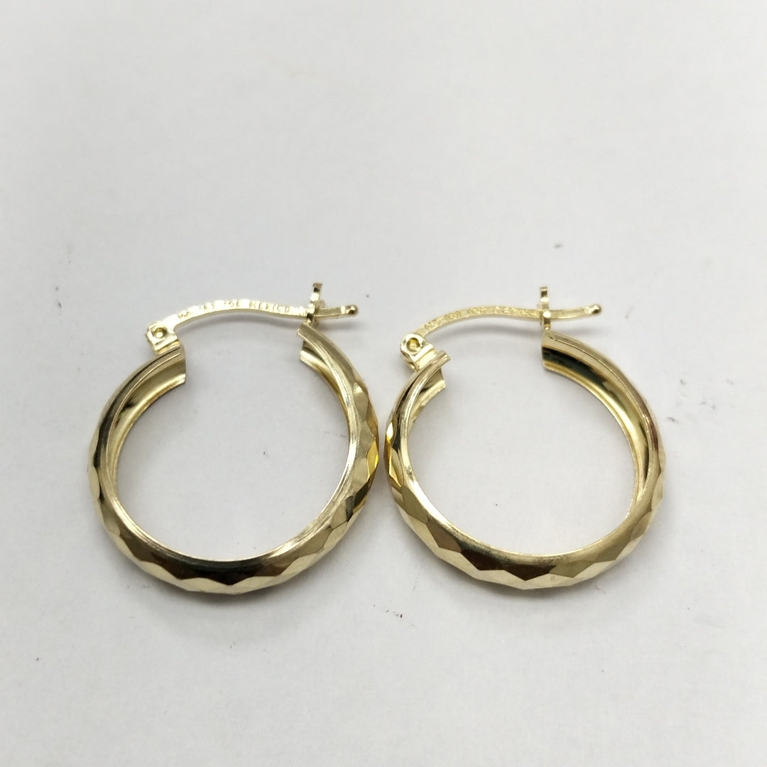 ARRACADAS PAR ORO 10 K 1.6 GRMS (SEMINUEVO)