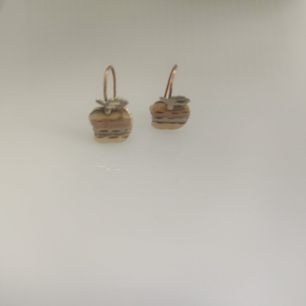 ARETES PAR ORO 10 K 1,00 GRMS (SEMINUEVO)