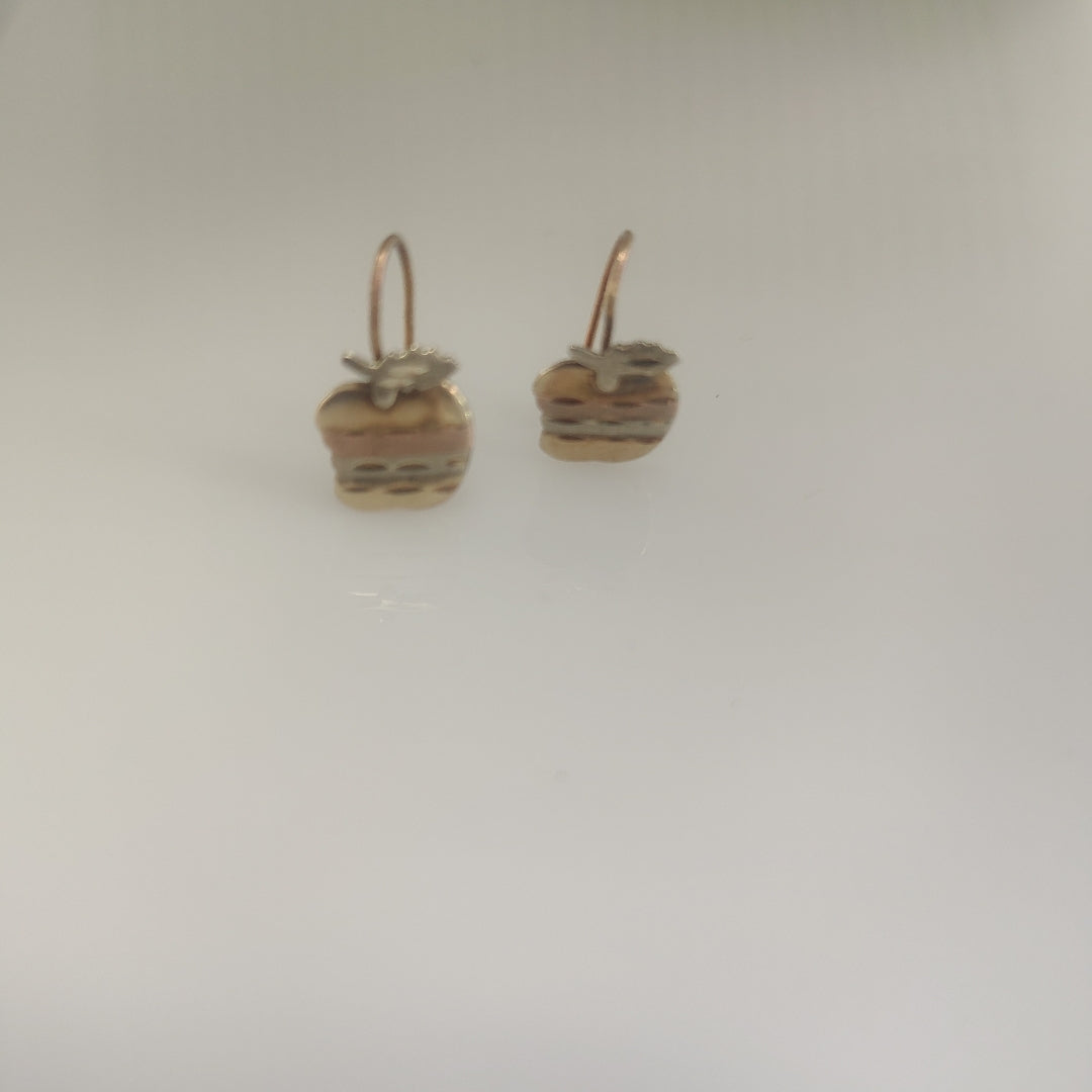 ARETES PAR ORO 10 K 1,00 GRMS (SEMINUEVO)