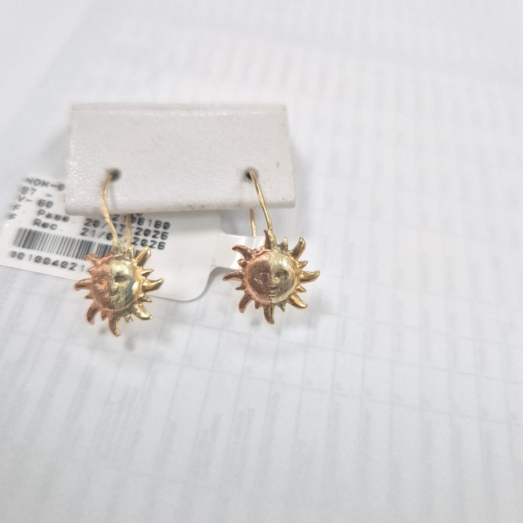 ARETES PAR ORO 10 K 1,00 GRMS (SEMINUEVO)