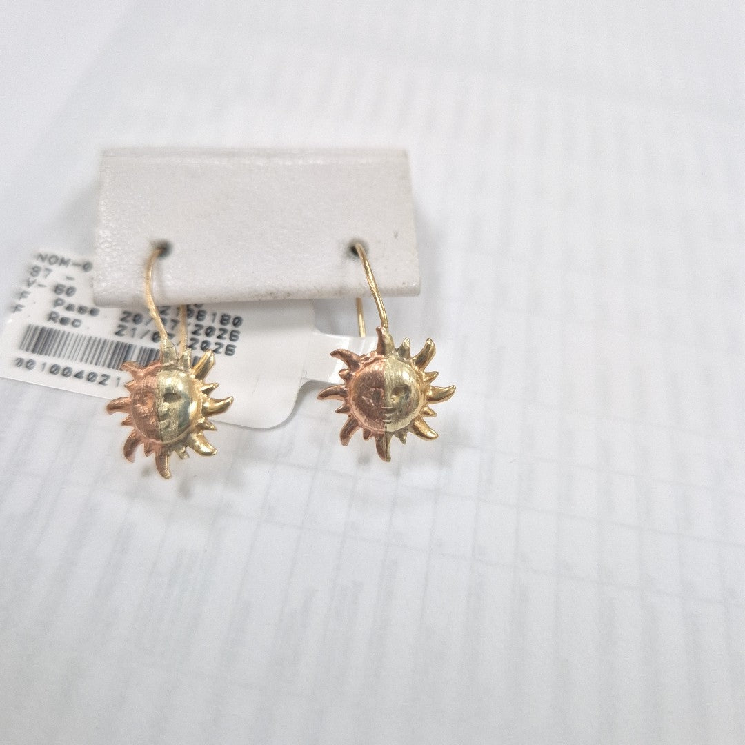 ARETES PAR ORO 10 K 1,00 GRMS (SEMINUEVO)
