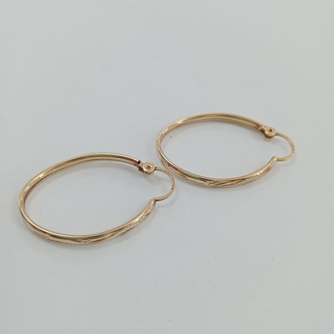 ARRACADAS PAR ORO 10 K 2,10 GRMS (SEMINUEVO)