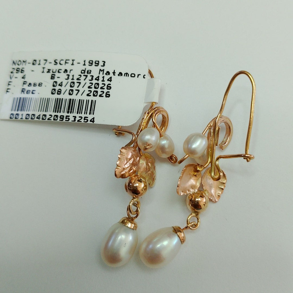 ARETES PAR ORO 10 K 2.7 GRMS (SEMINUEVO)