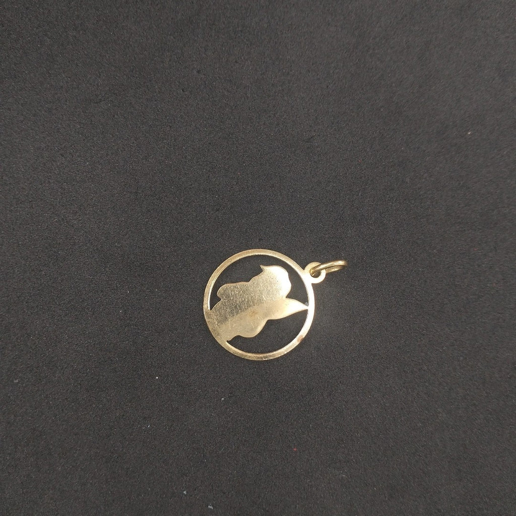 DIJE ORO 14 K 3.9 GRMS (SEMINUEVO)