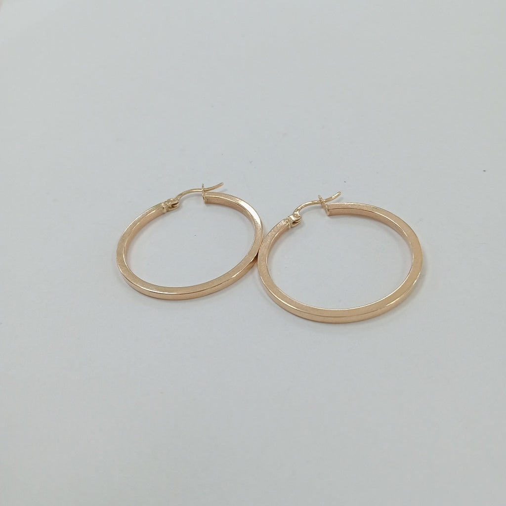 ARRACADAS PAR ORO 10 K 2.3 GRMS (SEMINUEVO)