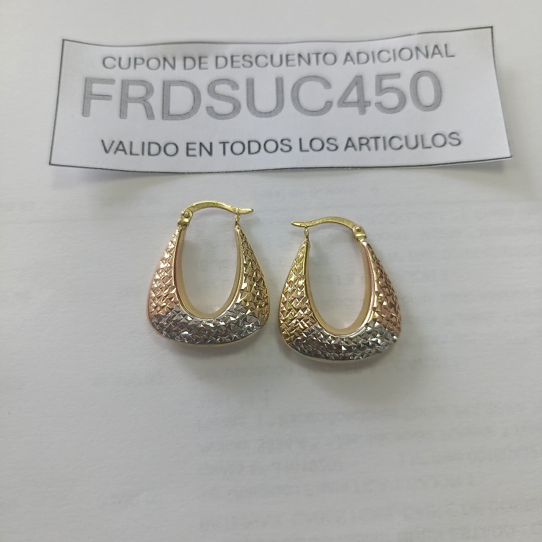 ARETES PAR ORO 10 K 2,60 GRMS (SEMINUEVO)