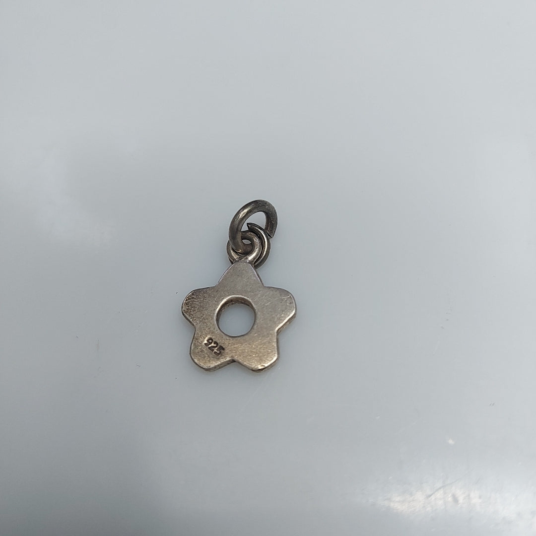 DIJE PLATA 9,50 GRMS (SEMINUEVO)