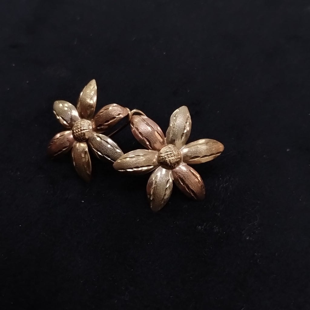 ARETES PAR ORO 10 K 3.4 GRMS (SEMINUEVO)