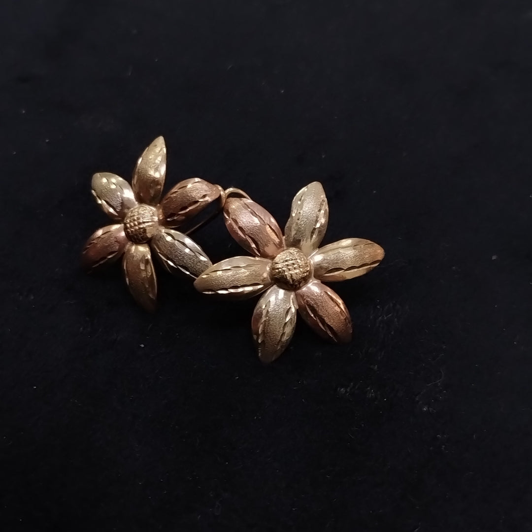 ARETES PAR ORO 10 K 3.4 GRMS (SEMINUEVO)