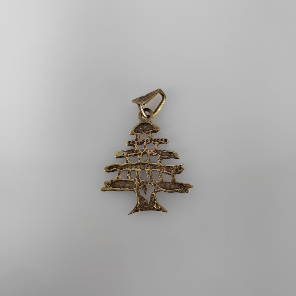 DIJE ORO 14 K 2.9 GRMS (SEMINUEVO)