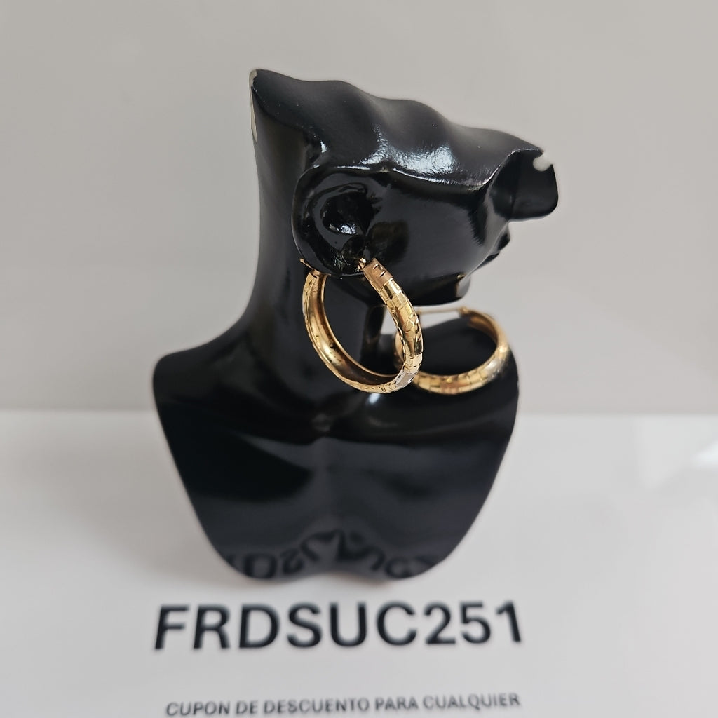 ARRACADAS PAR ORO 14 K 2,40 GRMS (SEMINUEVO)
