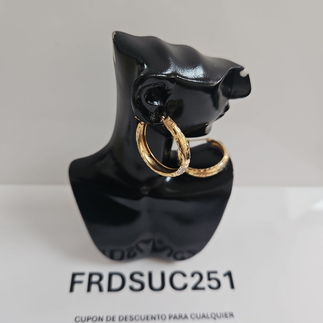 ARRACADAS PAR ORO 14 K 2,40 GRMS (SEMINUEVO)