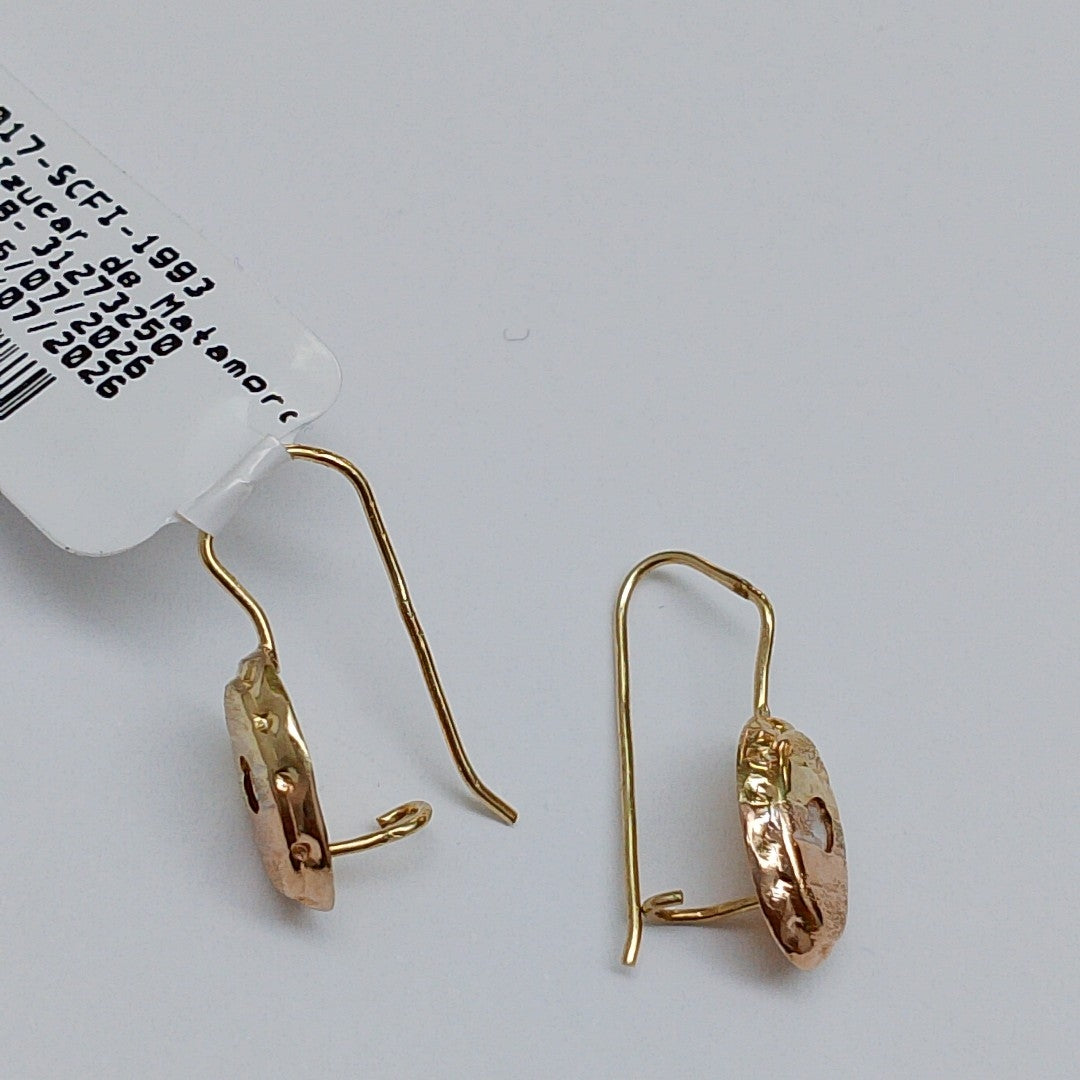 ARETES PAR ORO 10 K 0.9 GRMS (SEMINUEVO)