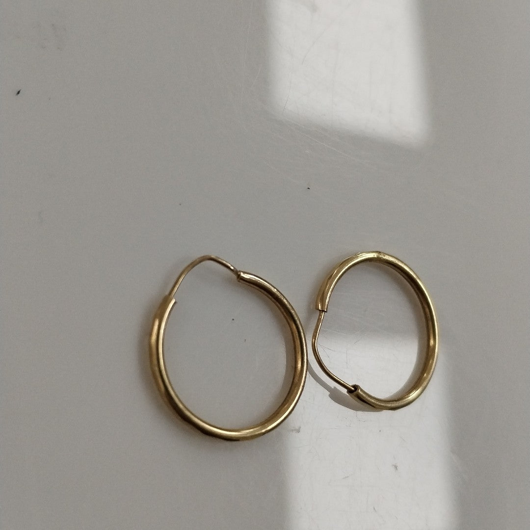 ARRACADAS PAR ORO 10 K 0.7 GRMS (SEMINUEVO)