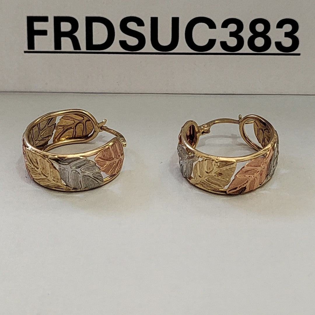 ARRACADAS PAR ORO 14 K 5,20 GRMS (SEMINUEVO)
