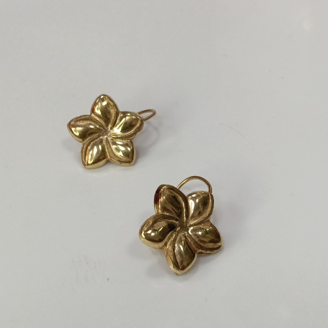 ARETES PAR ORO 10 K 1.5 GRMS (SEMINUEVO)