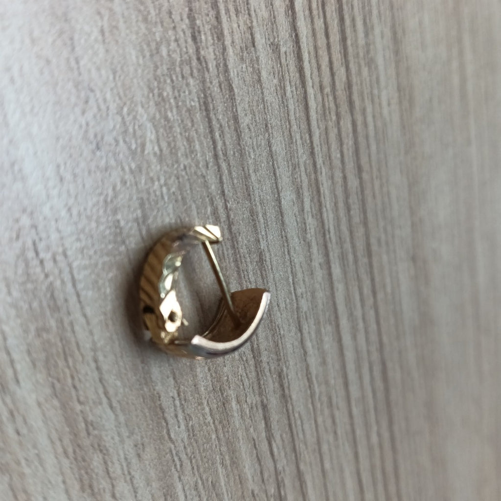 ARETES PAR ORO 10 K 2,10 GRMS (SEMINUEVO)