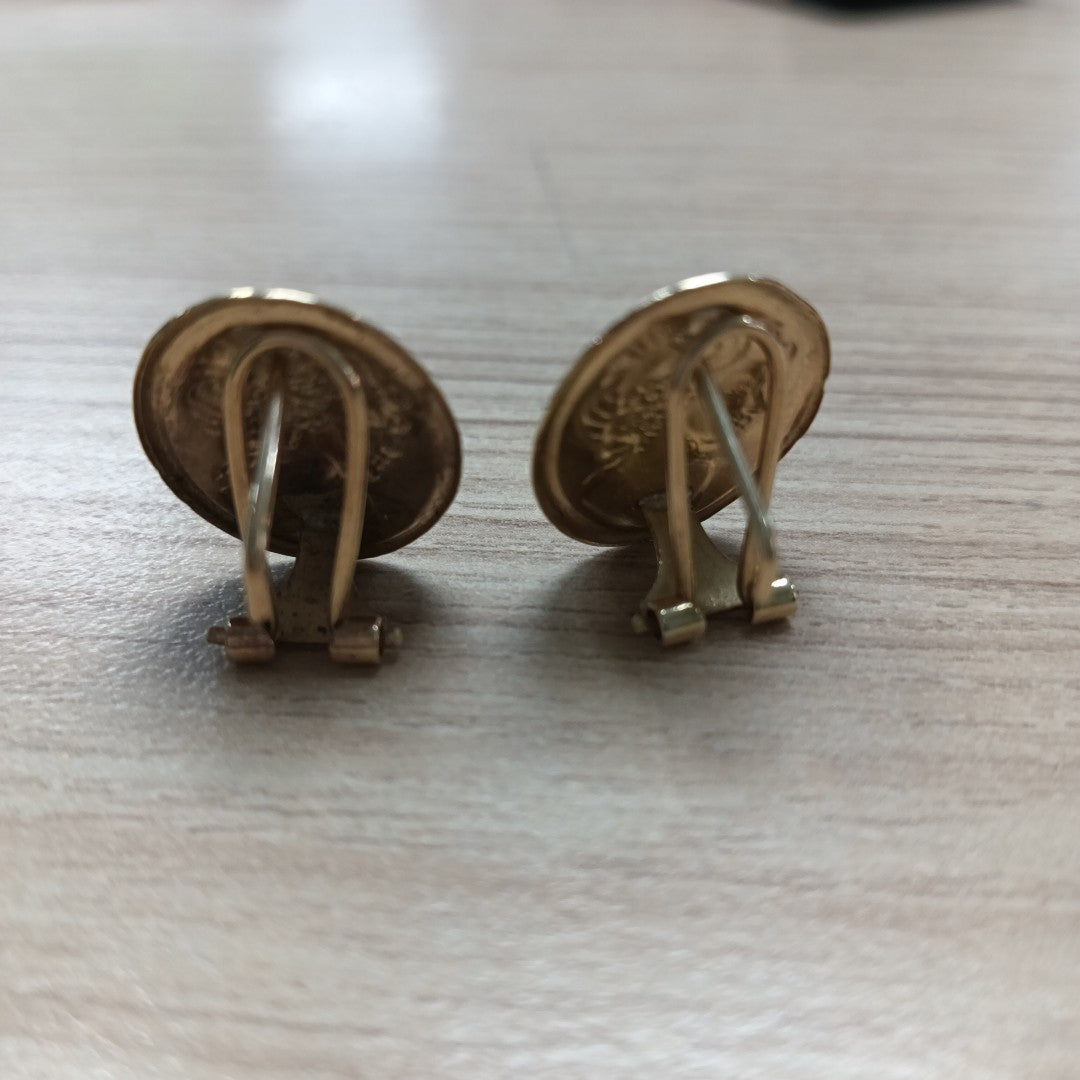 ARETES PAR ORO 10 K 2,90 GRMS (SEMINUEVO)