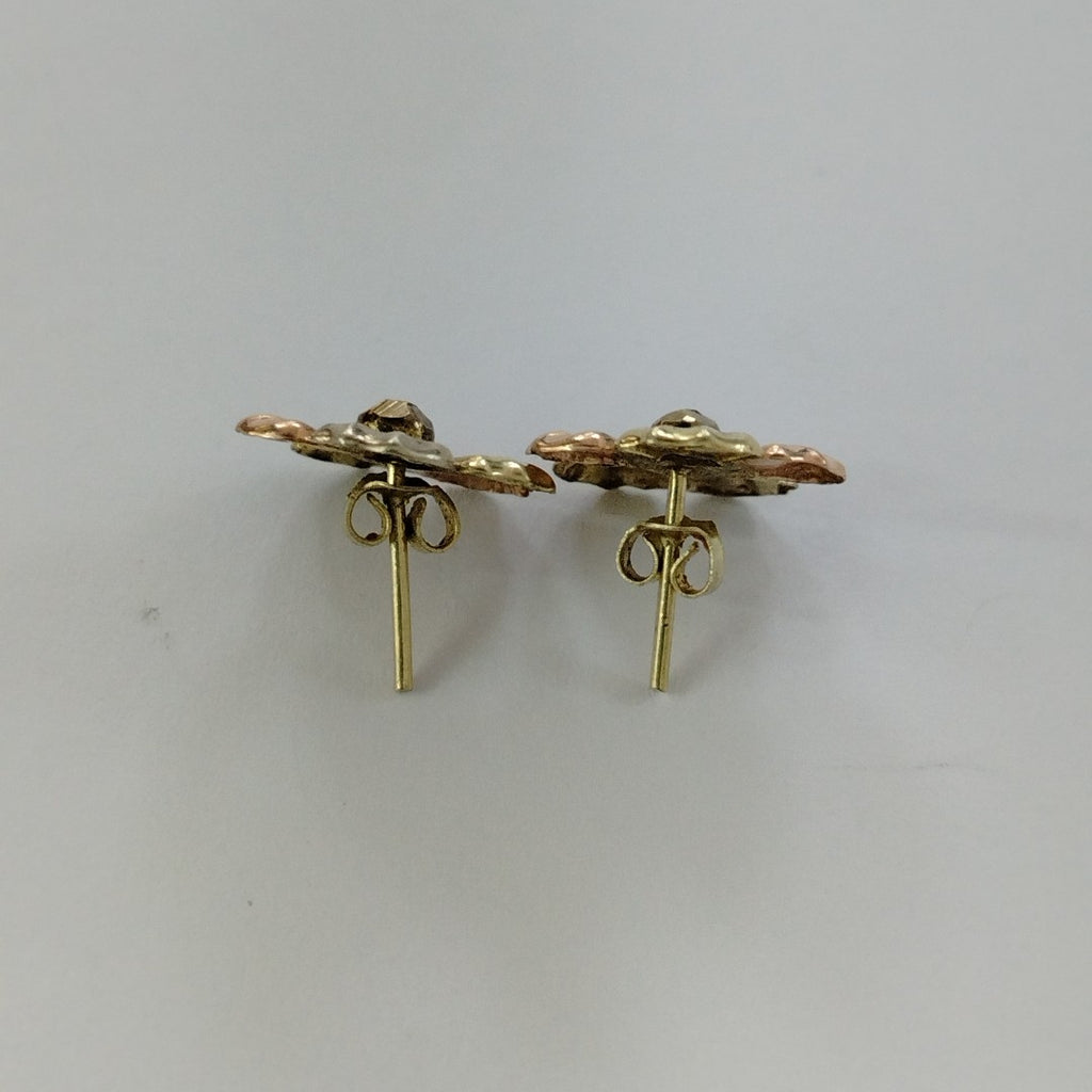 ARETES PAR ORO 10 K 2.5 GRMS (SEMINUEVO)