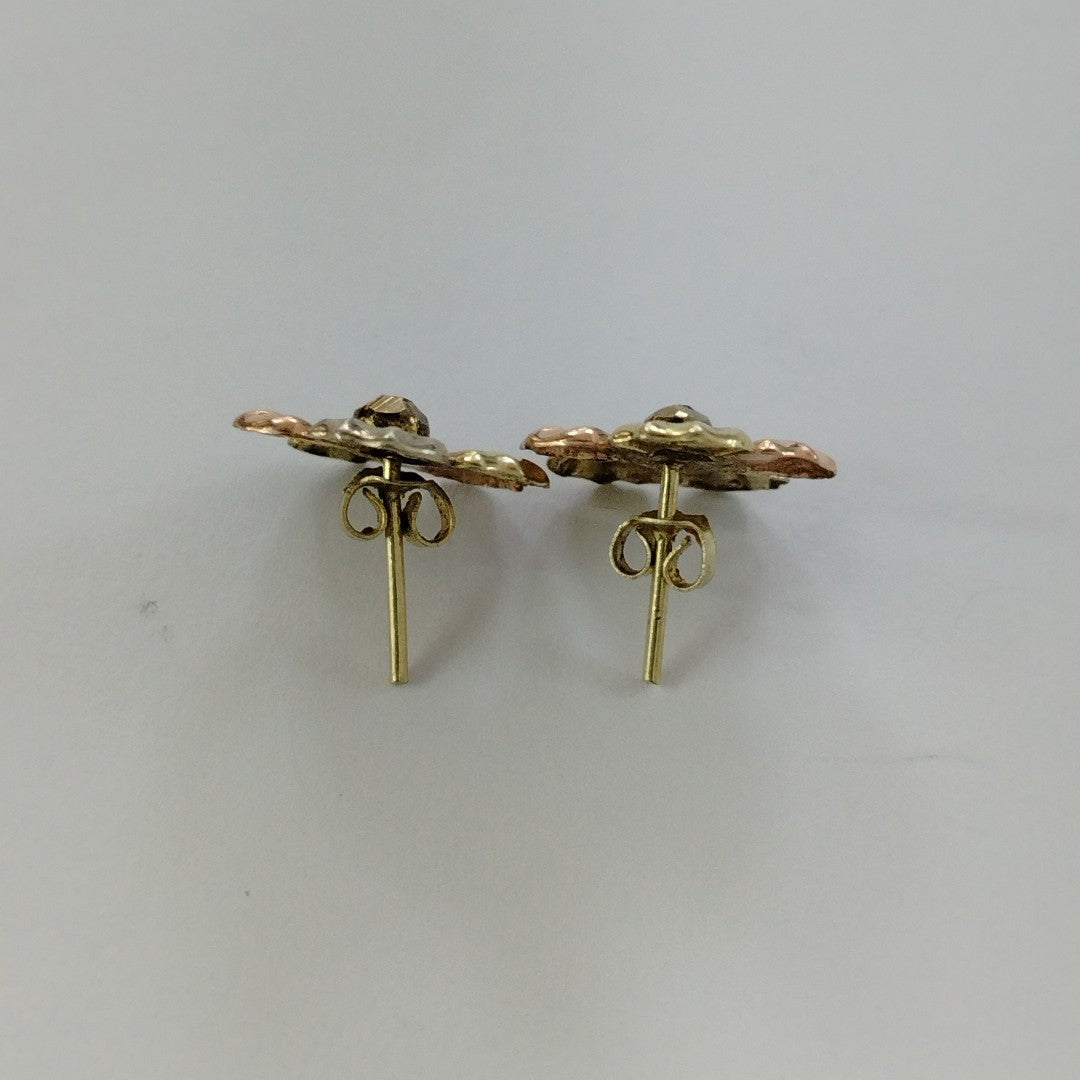 ARETES PAR ORO 10 K 2.5 GRMS (SEMINUEVO)